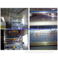 Automatic pullet cage/Poultry farming equipments  